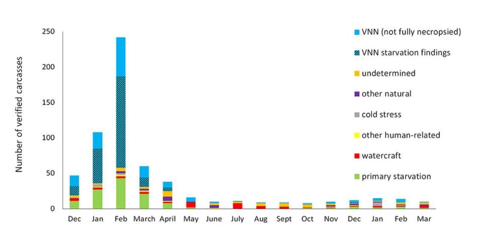 A chart shows the causes of manatee deaths from December 2021 to March 2023.