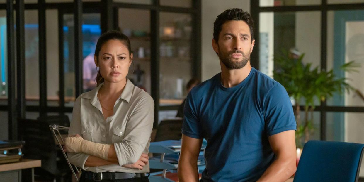 vanessa lachey, noah mills, ncis hawai'i, season 2