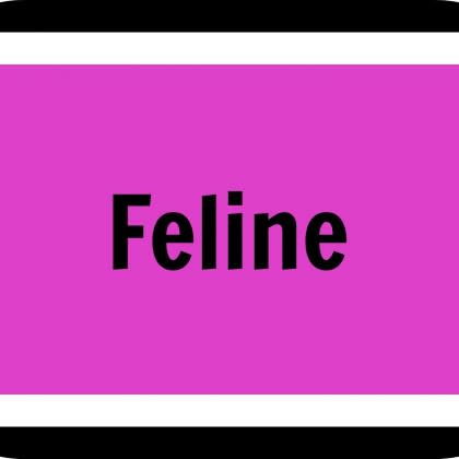 Feline