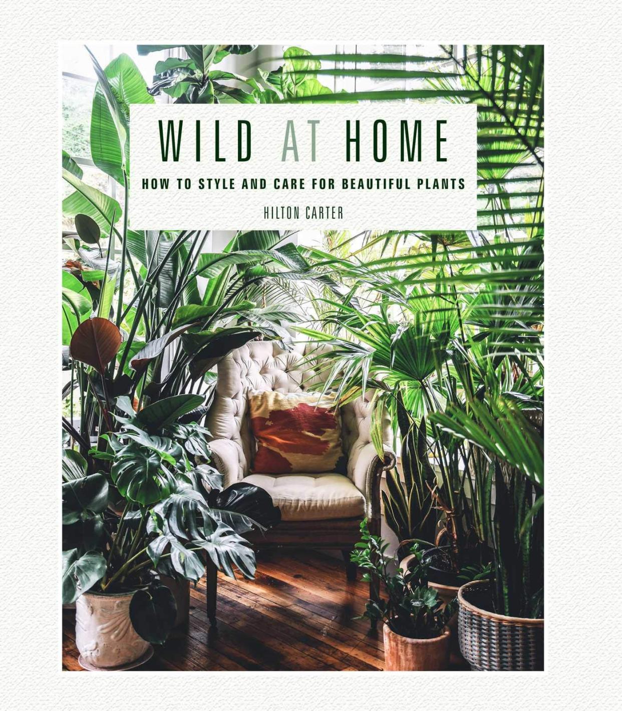 'Wild at Home'