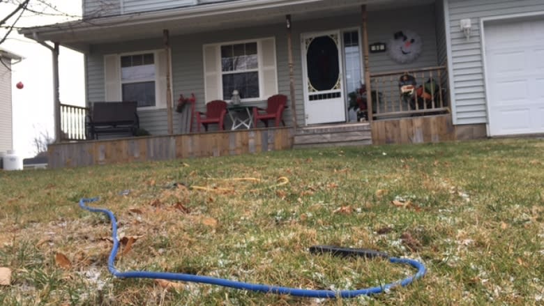 Nothing left but extension cord: Christmas lights stolen from neighbours' lawns