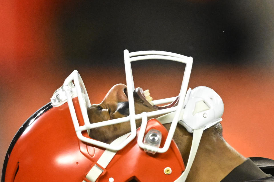 Cleveland Browns quarterback Deshaun Watson celebrates his touchdown pass during the second half of an NFL football game against the Baltimore Ravens, Saturday, Dec. 17, 2022, in Cleveland. (AP Photo/David Richard)