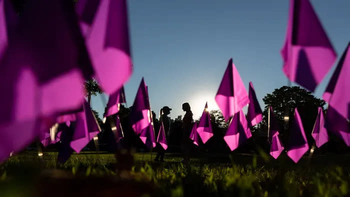 Two women stand near purple flags representing the lives lost to opioid overdose in 2020 on the Framingham Centre Green on Aug. 31, 2022. Framingham FORCE (Fostering Opioid Recovery, Compassion and Education) planted more than 2,000 purple flags to represent the lives lost to opioid overdose in 2020.