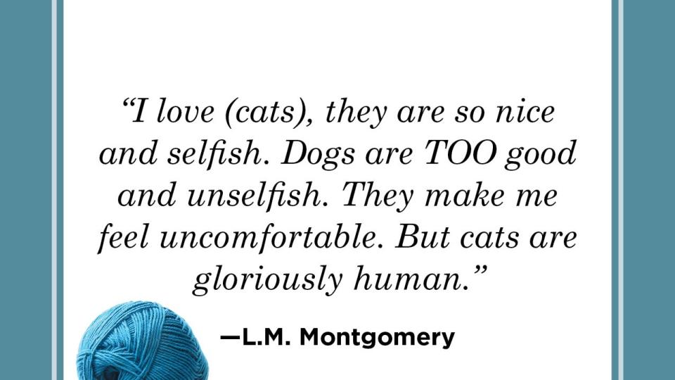 cat quote by l m montgomery