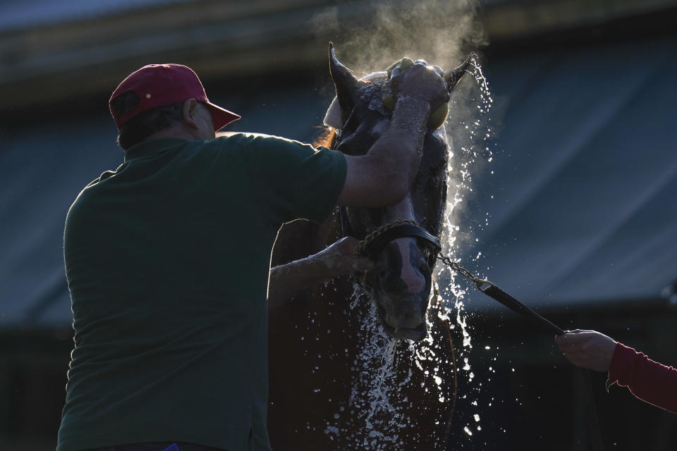 Guadalupe Guerrero gives Preakness hopeful Ram a bath after a morning exercise at Pimlico Race Course ahead of the Preakness Stakes horse race, Tuesday, May 11, 2021, in Baltimore. (AP Photo/Julio Cortez)