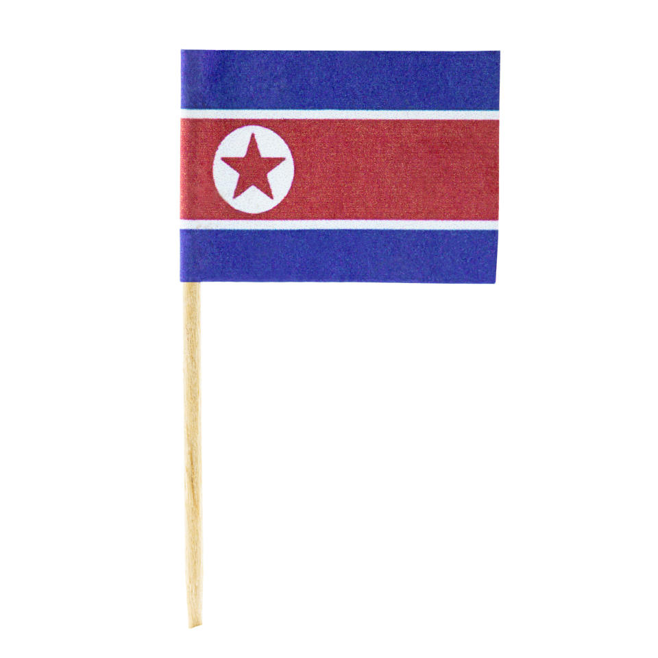 Die Airline befindet sich im vollständigen Besitz von Nordkorea. (Symbolbild: Getty)