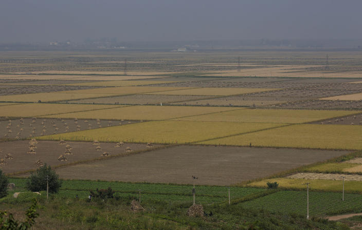 This Sunday, Sept. 23, 2012 photo shows a general view of Migok Cooperative Farm in Sariwon, North Hwanghae Province, North Korea. Farmers would be able to keep a bigger share of their crops under proposed changes aiming to boost production by North Korea's collective farms, which have chronically struggled to provide enough food for the country's 24 million people. (AP Photo/Vincent Yu)