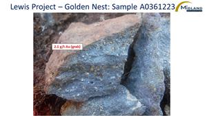 Lewis Project - Golden Nest Sample A0361223