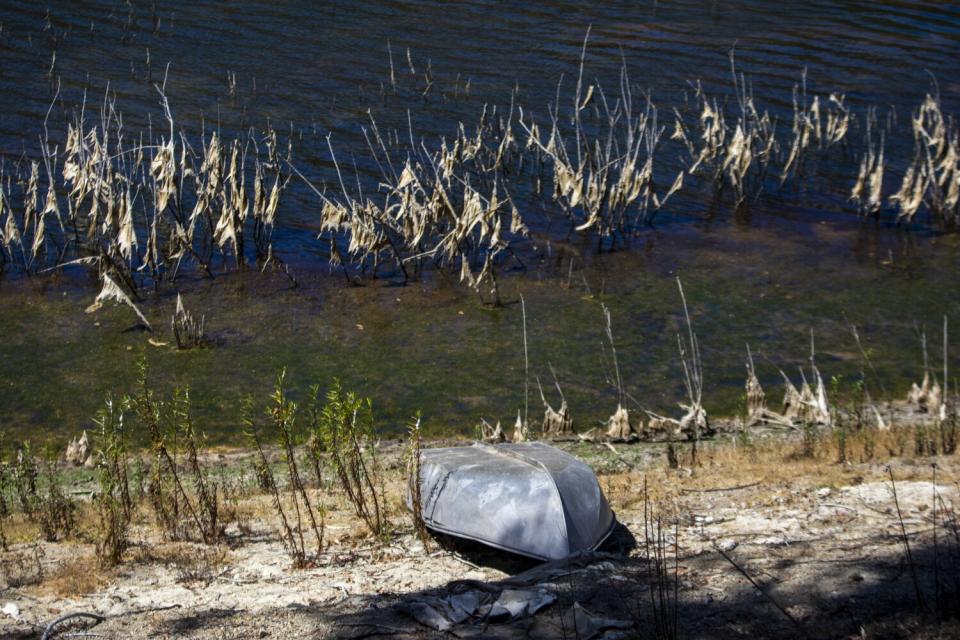 A ground-level look at the low water level at the Middle Ranch Reservoir on Catalina