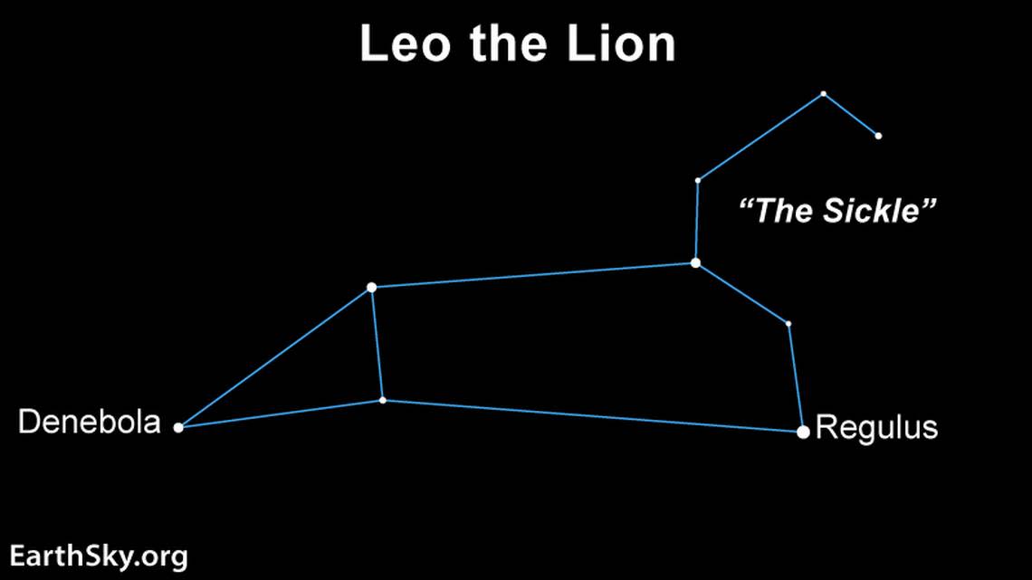 You’ll see Leo the Lion in the sky in 2 parts. First, the stars making up a backwards question mark represents Leo’s head and it’s known as the Sickle. And the triangle at the back represents the Lion’s hindquarters. Also, the bright star Regulus is the period at the bottom of the backwards question mark.