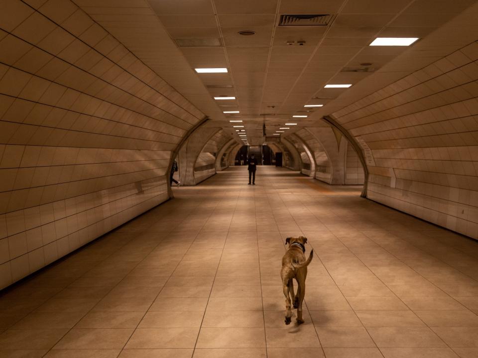 Boji runs through the subway station.