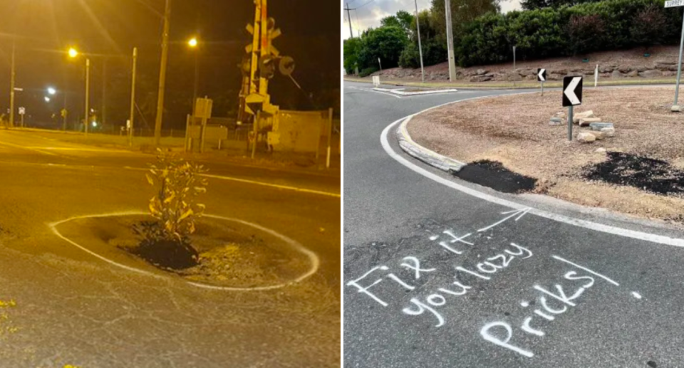 Tree planted in pothole in Diamond Creek in 2021 (left). A spray painted message on a road in Adelaide in October (right).