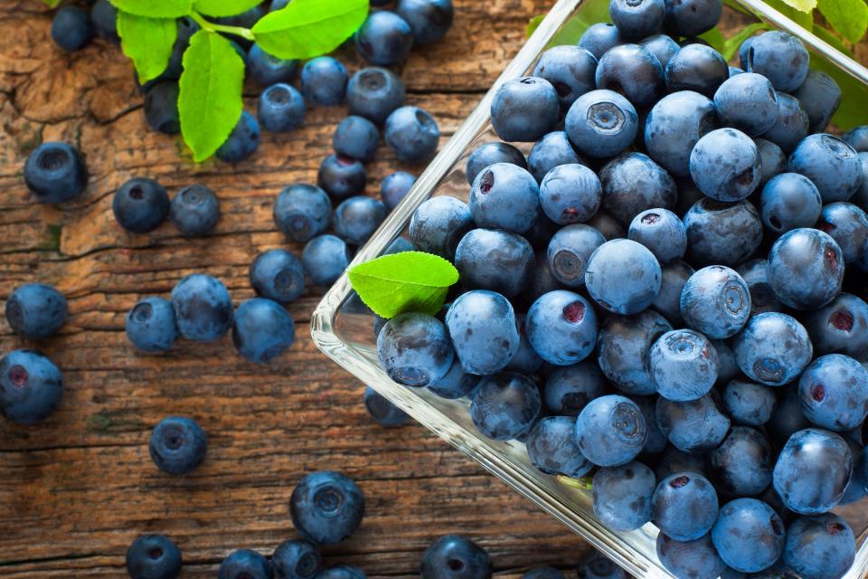 Pick your own blueberries in Rhode Island starts July 4 in Warwick.