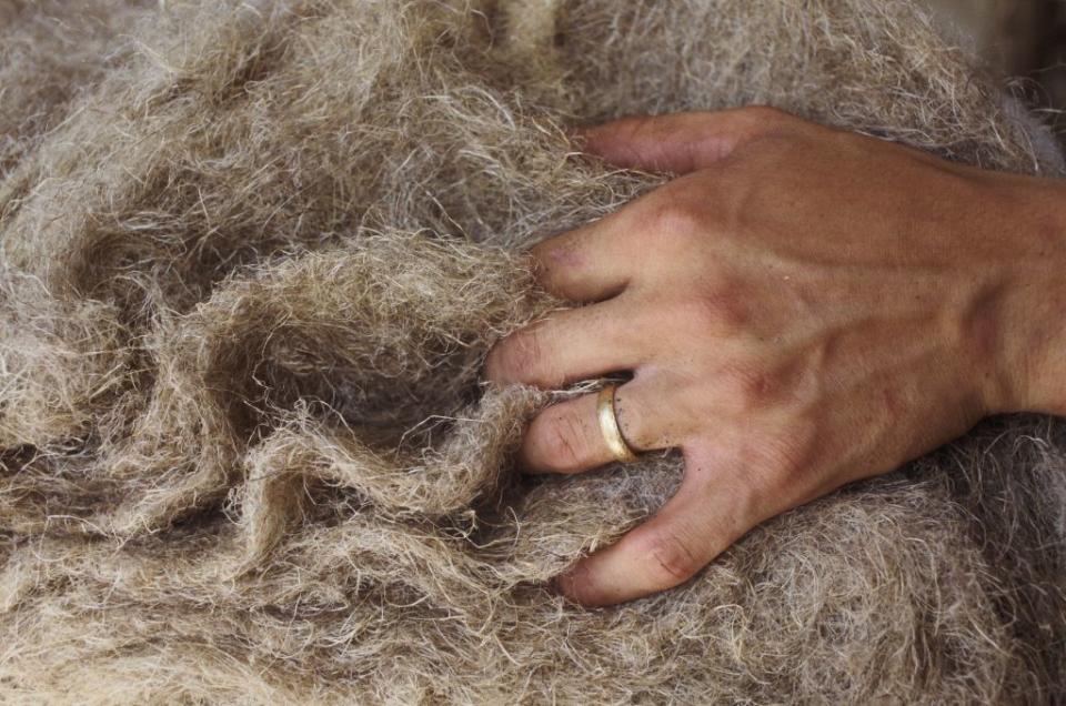 Hemp twine is used for varying applications, depending on its fineness: paper, rope, insulation, textiles, composite materials.<span class="copyright">Henri-Alain SEGALEN/Gamma-Rapho—Getty Images</span>