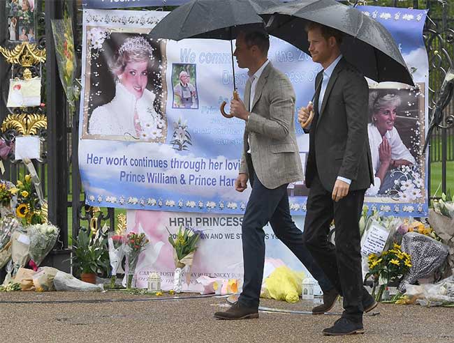 william-harry-diana-tributes