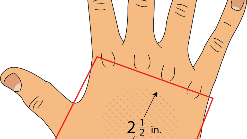 Visual of authorized hand tattoo size and placement for Coast Guardsmen allowed in the most recent policy update. (Coast Guard)