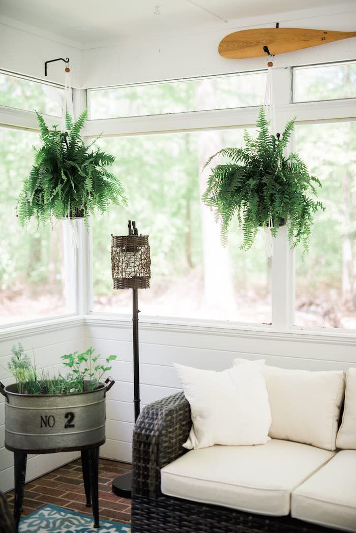 screened in porch ideas hanging plants