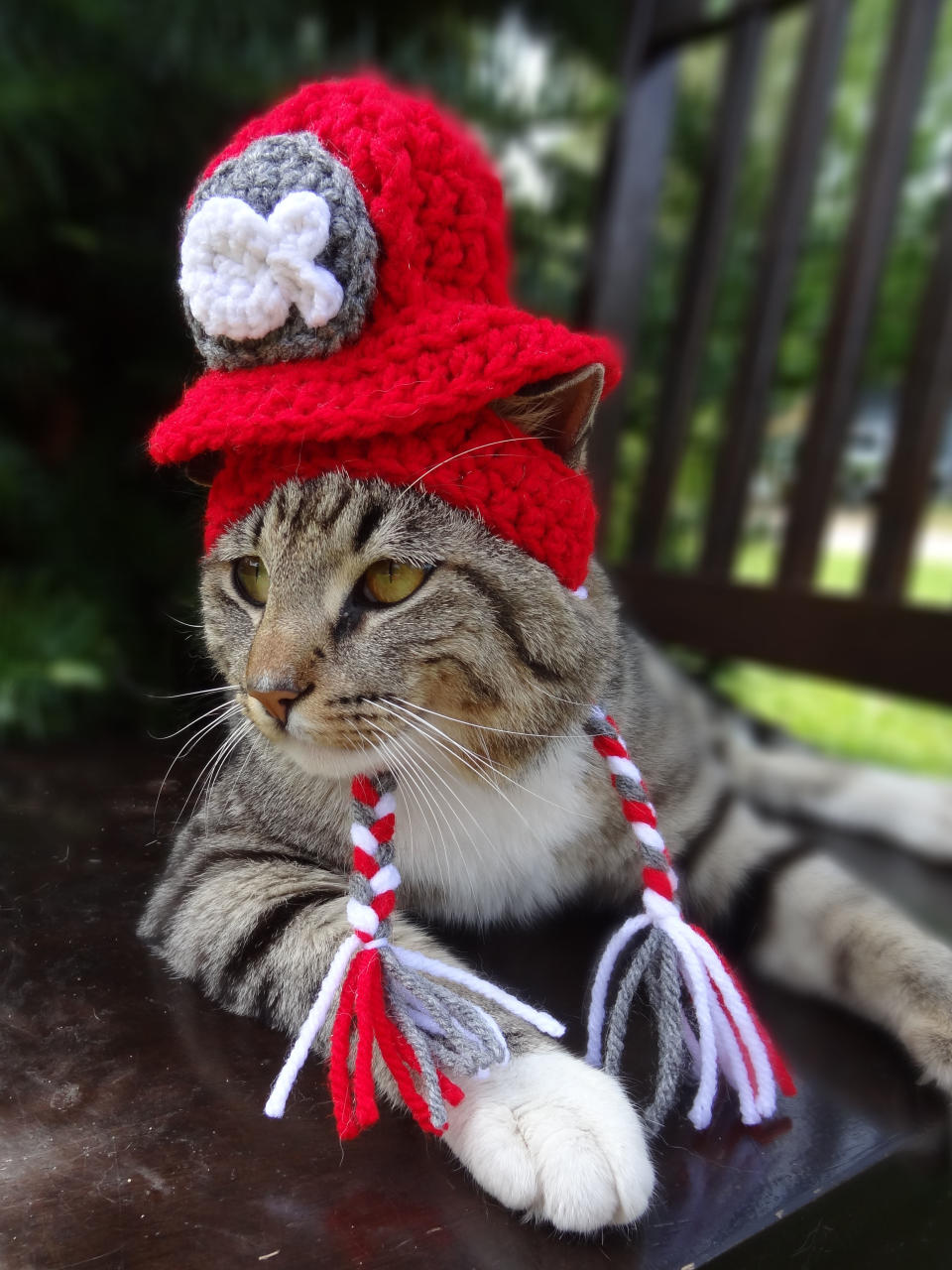 Fireman cat hat.