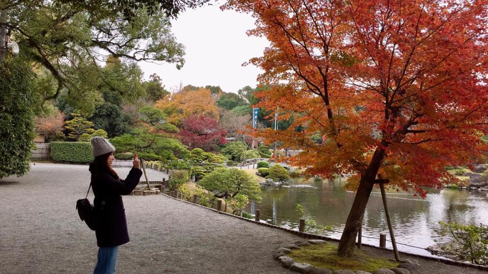 ▲秋天的日本隨處可見紅葉盛開，讓田中千繪直呼超浪漫。