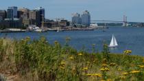 Georges Island 'a beautiful opportunity waiting to happen,' says MP