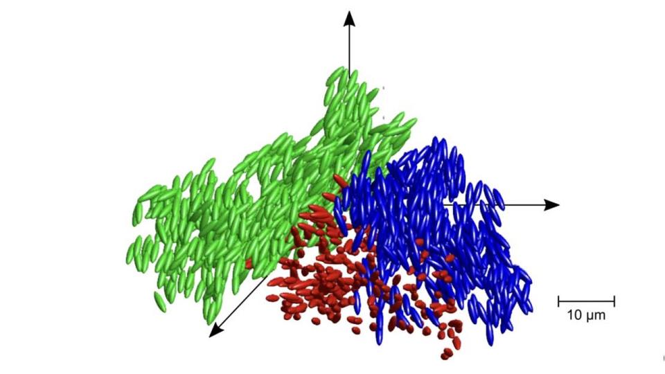 A diagram of liquid glass