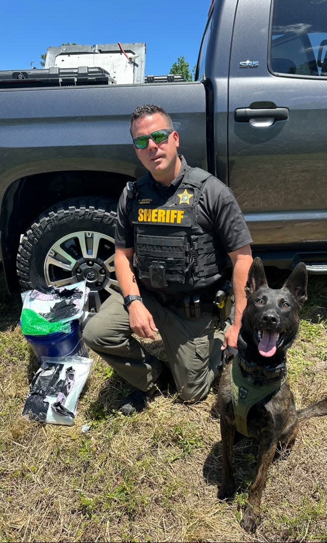 A Martin County Sheriff's Office canine deputy with the drug-sniffing dog which alerted to the five pounds of fentanyl-laced opioid pills found inside a bucket in the back of a pickup truck during a traffic stop on April 23, 2024, according to agency officials.