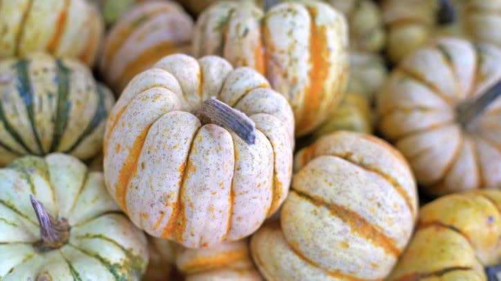 carnival squash pumpkin