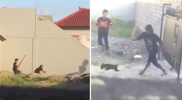 Horrific footage shows two men chasing a puppy and beating it with sticks. Photo: Supplied