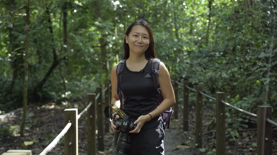 Dr Andie Ang, a primatologist whose research is on the Raffles' banded langur. She chairs the Raffles' Banded Langur Working Group set up by Mandai Nature Fund in Singapore, and leads the research work for these animals. Dr Ang stated that these langurs help to keep the forests 'healthy' by dispersing seeds, thereby conserving the biodiversity of the island. (PHOTO: Yahoo TV Southeast Asia)