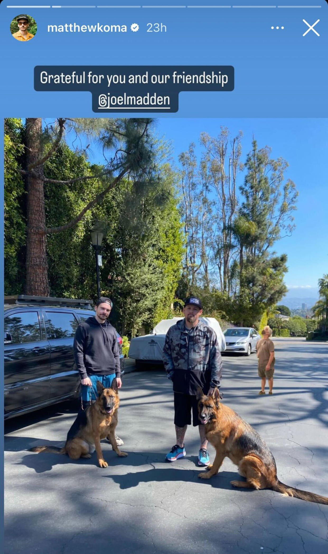 Joel and Matthew hanging out with some friendly dogs. (Matthew Koma / Instagram)