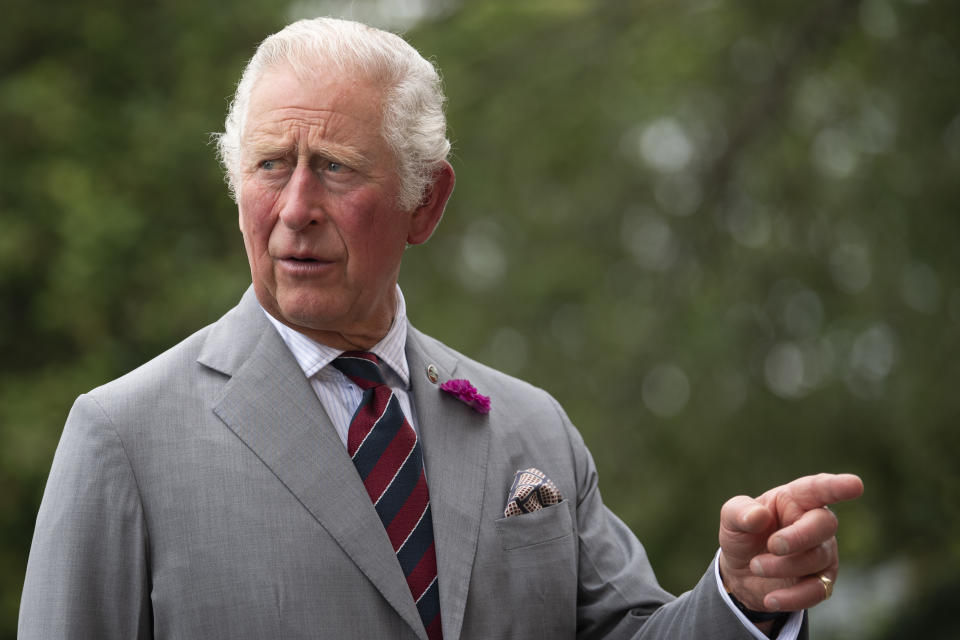 Prince Charles, Prince of Wales, pointing into the distance