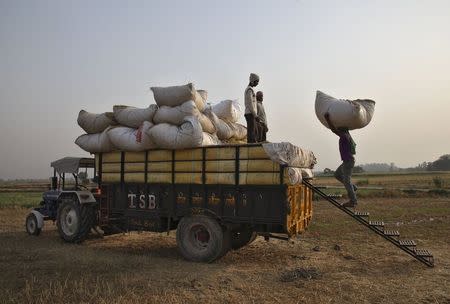 A labourer loads a bundle of wheat husk in a tractor-trolley at a field in Punjab, May 6, 2015. REUTERS/Ajay Verma