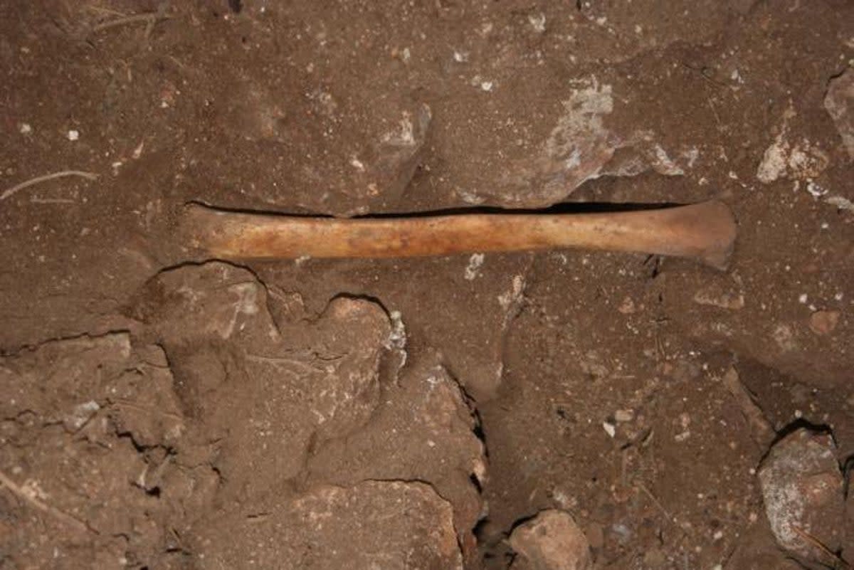 Human bone found inside the cave (JC Vera Rodríguez)