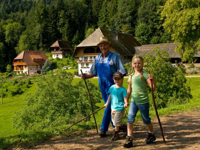 Das verspricht auch der Obere Rechtgrabenhof im Schwarzwald. Foto: Landsichten.de