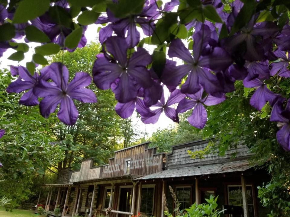 Spring flowers bloom in front of the ghost town.