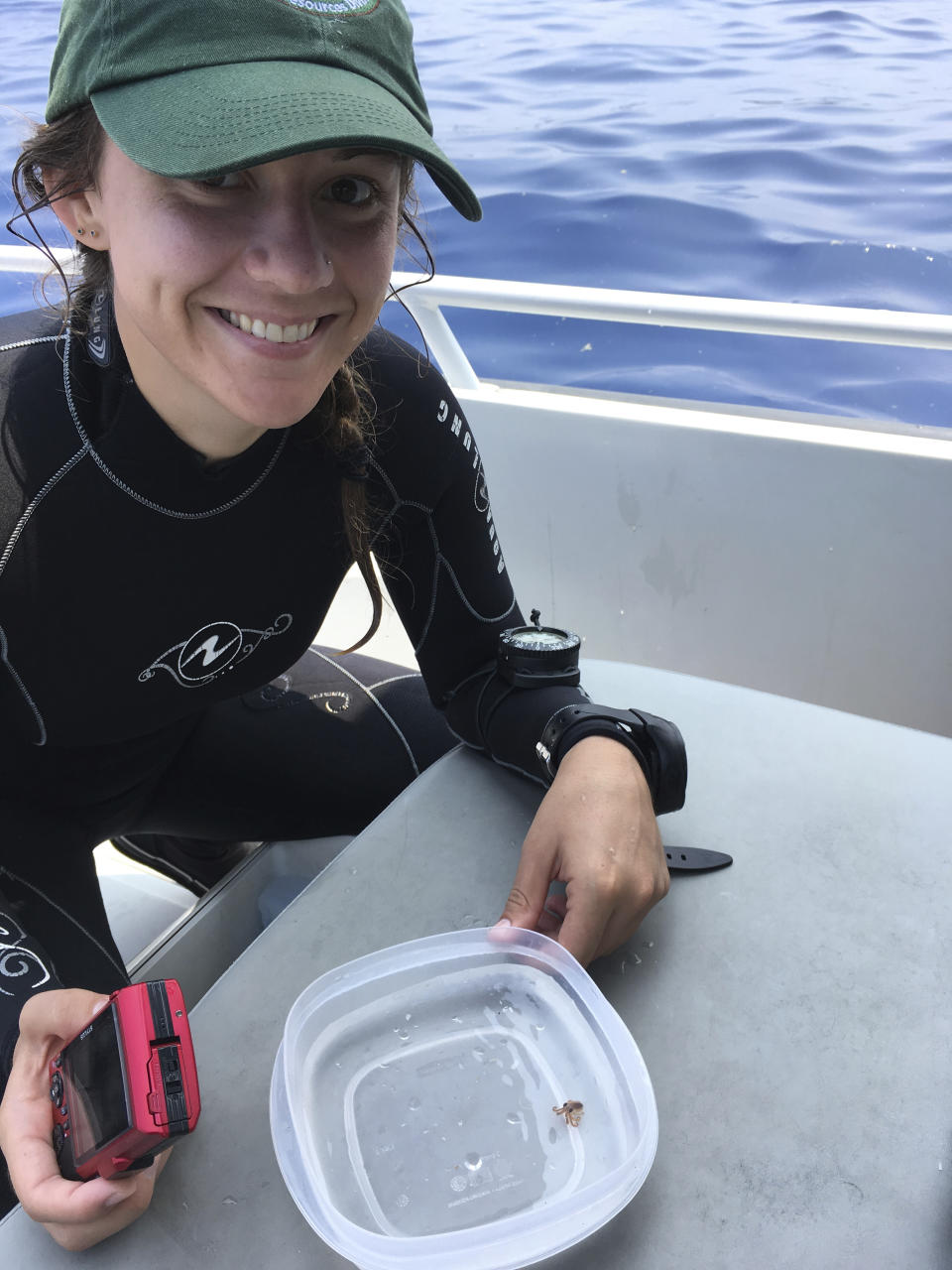 This Aug. 1, 2018 photo provided by the National Park Service shows intern Ashley Pugh posing with a baby octopus inside a plastic container at Kaloko-Honokohau National Historical Park in waters off Kailua-Kona, Hawaii. Hawaii scientists found two tiny, baby octopuses floating on plastic trash they were cleaning up while monitoring coral reefs. (Sallie Beavers/National Park Service via AP)