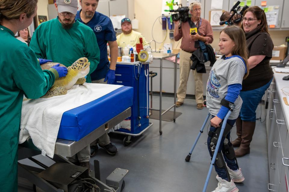Kendall Barfield, a 12-year-old who has spina bifida. In January 2024, Barfield got to meet a turtle named Bandit who lives at the Georgia Sea Turtle Center on Jekyll Island. Bandit suffers from a similar condition to Barfield.
