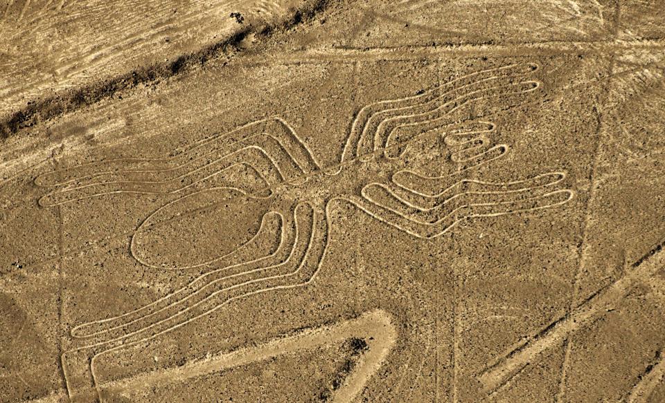 The ancient designs, whose purpose remains unclear, cover 280 square miles.&nbsp; (Photo: MARTIN BERNETTI via Getty Images)