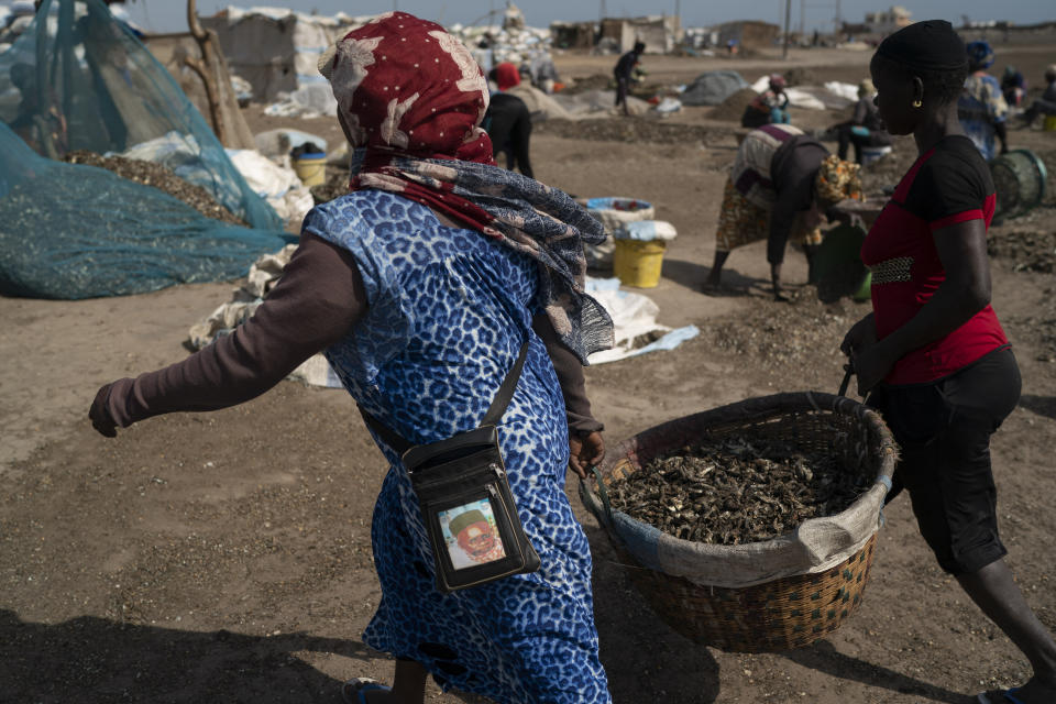 Women carry buckets filled with processed fish on Bargny beach, some 35 kilometers (22 miles) east of Dakar, Senegal, Sunday April 25, 2021. (AP Photo/Leo Correa)