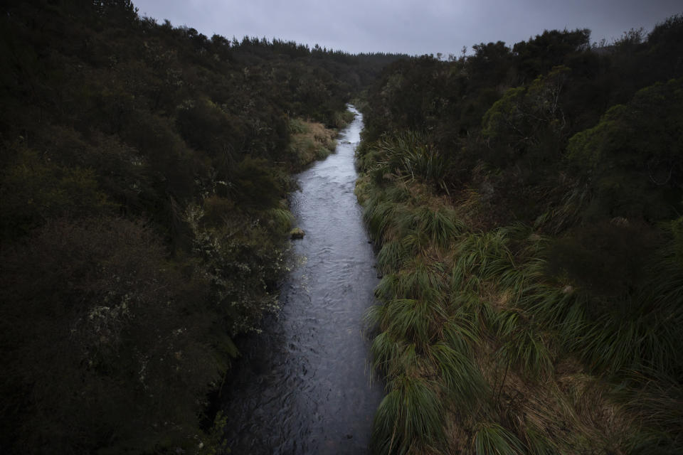 The upper reaches of New Zealand's Whanganui River flow on June 16, 2022. In 2017, New Zealand passed a groundbreaking law granting personhood status to the Whanganui River. The law declares that the river is a living whole, from the mountains to the sea, incorporating all its physical and metaphysical elements. (AP Photo/Brett Phibbs)