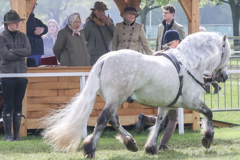 Queen Elizabeth II attends the third day of Royal Windsor Horse Show to watch her horse compete in a class Featuring: Queen Elizabeth II Where: Windsor, United Kingdom When: 10 May 2019 Credit: John Rainford/WENN