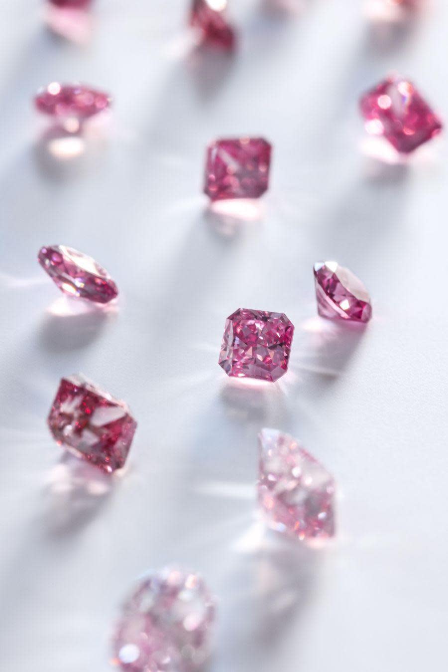 Tiffany & Co. 2023年頂級珠寶展，展出35顆無與倫比的阿蓋爾粉紅鑽石的裸石。