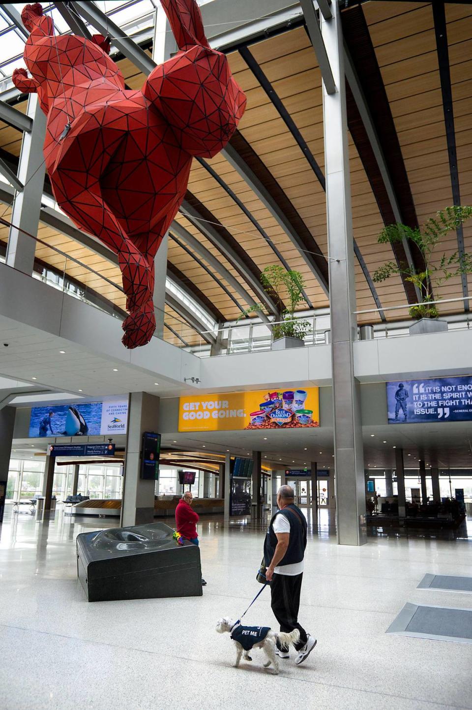 Handler Ralph Jacks walks with therapy dog Gosha beneath “Leap” by Lawrence Argent at Sacramento International Airport in Sacramento on Sept. 16, 2015. The sculpture consists of two parts: a giant red rabbit made of aluminum and an oversized granite suitcase.