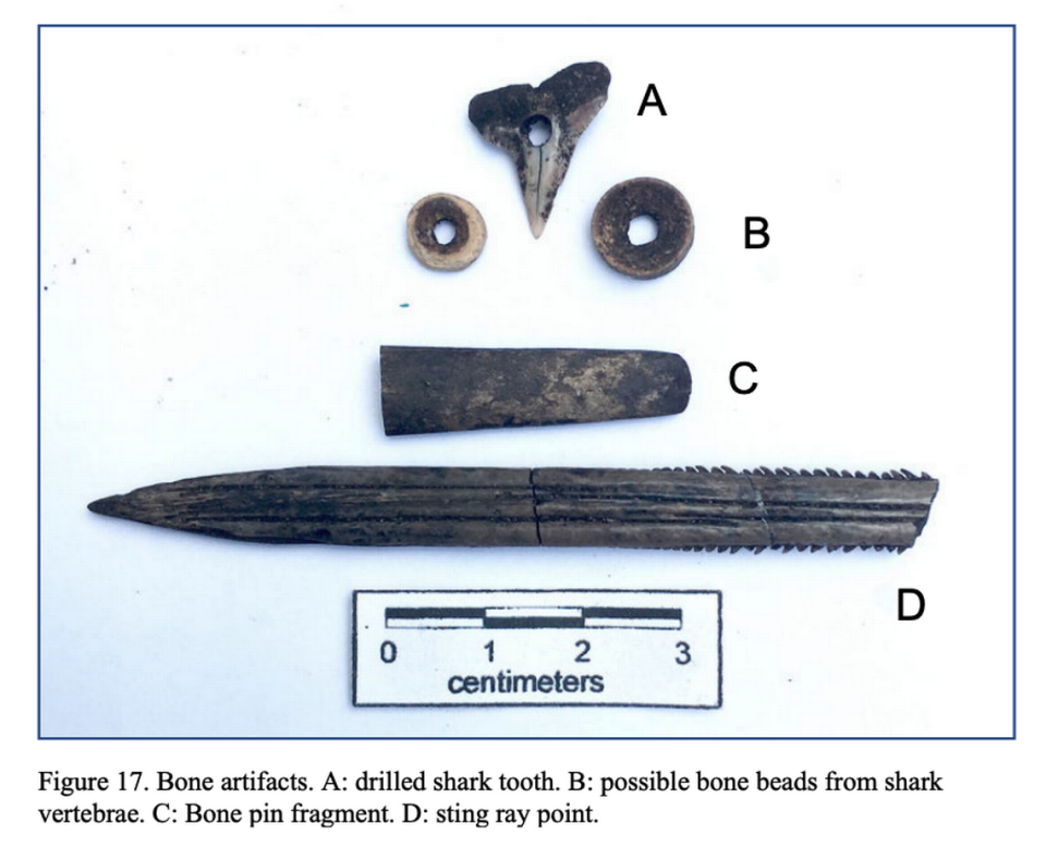 The team of archaeologists excavated bone artifacts from the Related Group development site.