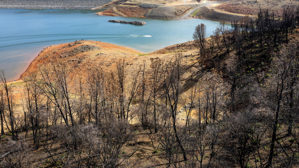 Below a hillside scorched in the 2020 North Complex Fire, a boat crosses Lake Oroville on Saturday, May 22, 2021, in Oroville, Calif. At the time of this photo, the reservoir was at 39 percent of capacity and 46 percent of its historical average. California officials say the drought gripping the U.S. West is so severe it could cause one of the state's most important reservoirs to reach historic lows by late August, closing most boat ramps and shutting down a hydroelectric power plant during the peak demand of the hottest part of the summer. (AP Photo/Noah Berger)