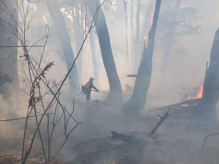 El combate de las llamas en el parque Nahuel Huapi