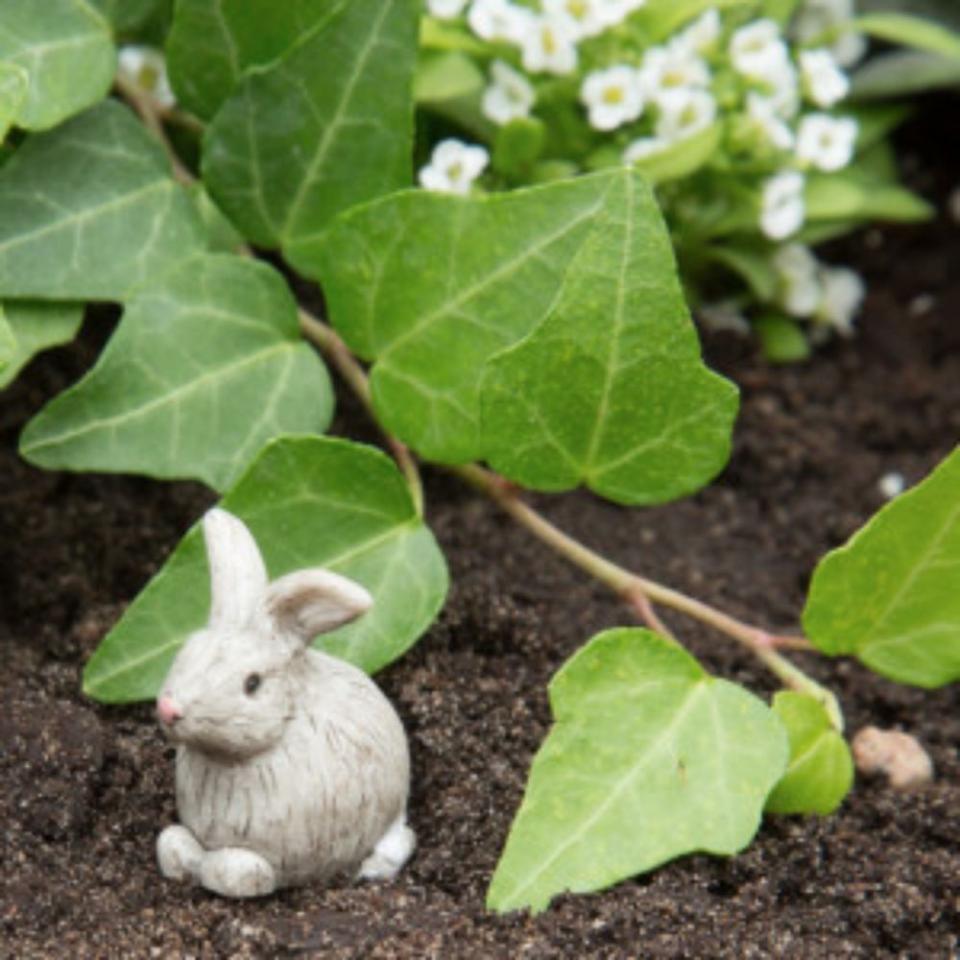 Miniature white bunny figurine for terrarium