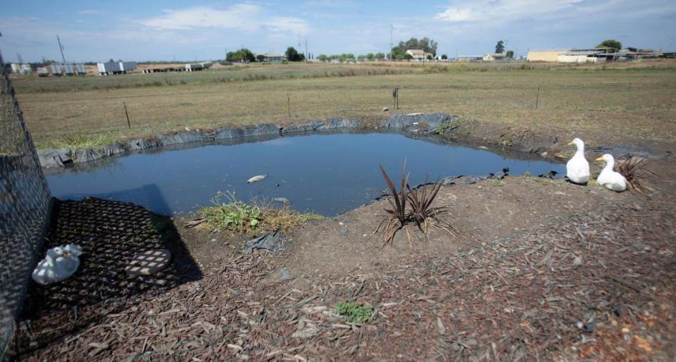 A duck pond graces the Legacy Village property, next to a children’s playground. The United States MISSION Act 2018 was supposed to help veterans access health care locally, but Central Coast veterans needing residential treatment are left behind.