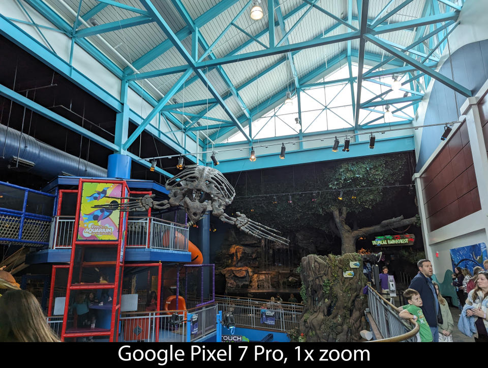 Camera samples from the Google Pixel 7 Pro's main camera