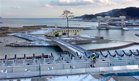 The replica of a lone pine tree that survived the 2011 earthquake and tsunami disaster, now labelled the "miracle pine" as it became a symbol of hope for the region, is seen behind a huge belt conveyor which carries soil and sand from mountains to raise the ground above sea level in Rikuzentakata, Iwate prefecture, in this February 13, 2014 picture provided by Kyodo. Mandatory credit REUTERS/Kyodo